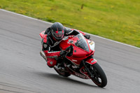 PJ-Motorsport-2019;anglesey-no-limits-trackday;anglesey-photographs;anglesey-trackday-photographs;enduro-digital-images;event-digital-images;eventdigitalimages;no-limits-trackdays;peter-wileman-photography;racing-digital-images;trac-mon;trackday-digital-images;trackday-photos;ty-croes